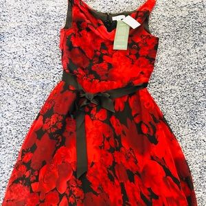 Women’s cocktail dress